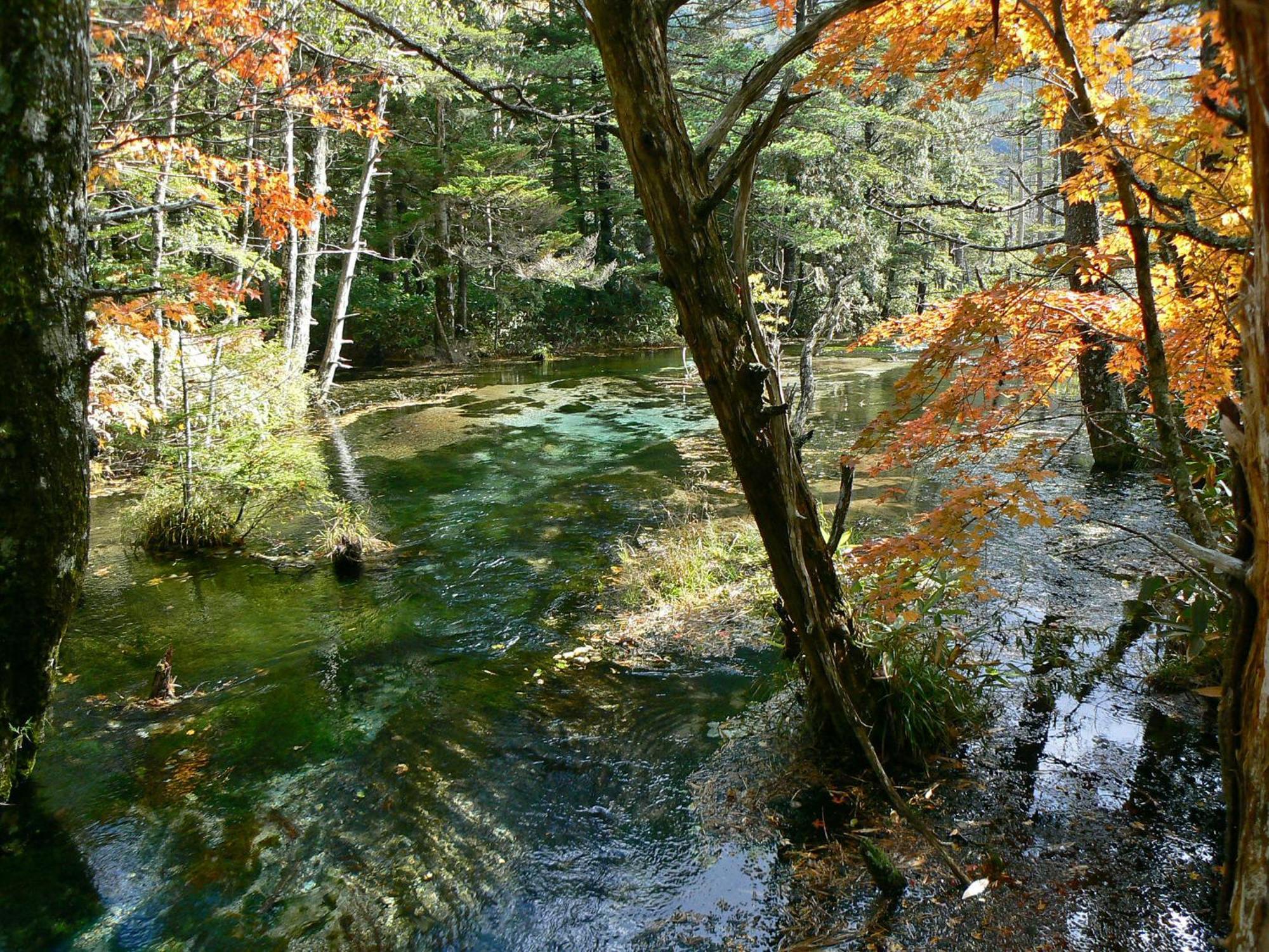 Kamikochi Hotel Matsumoto Extérieur photo